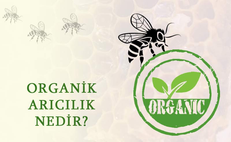 Organik Arıcılık Nedir